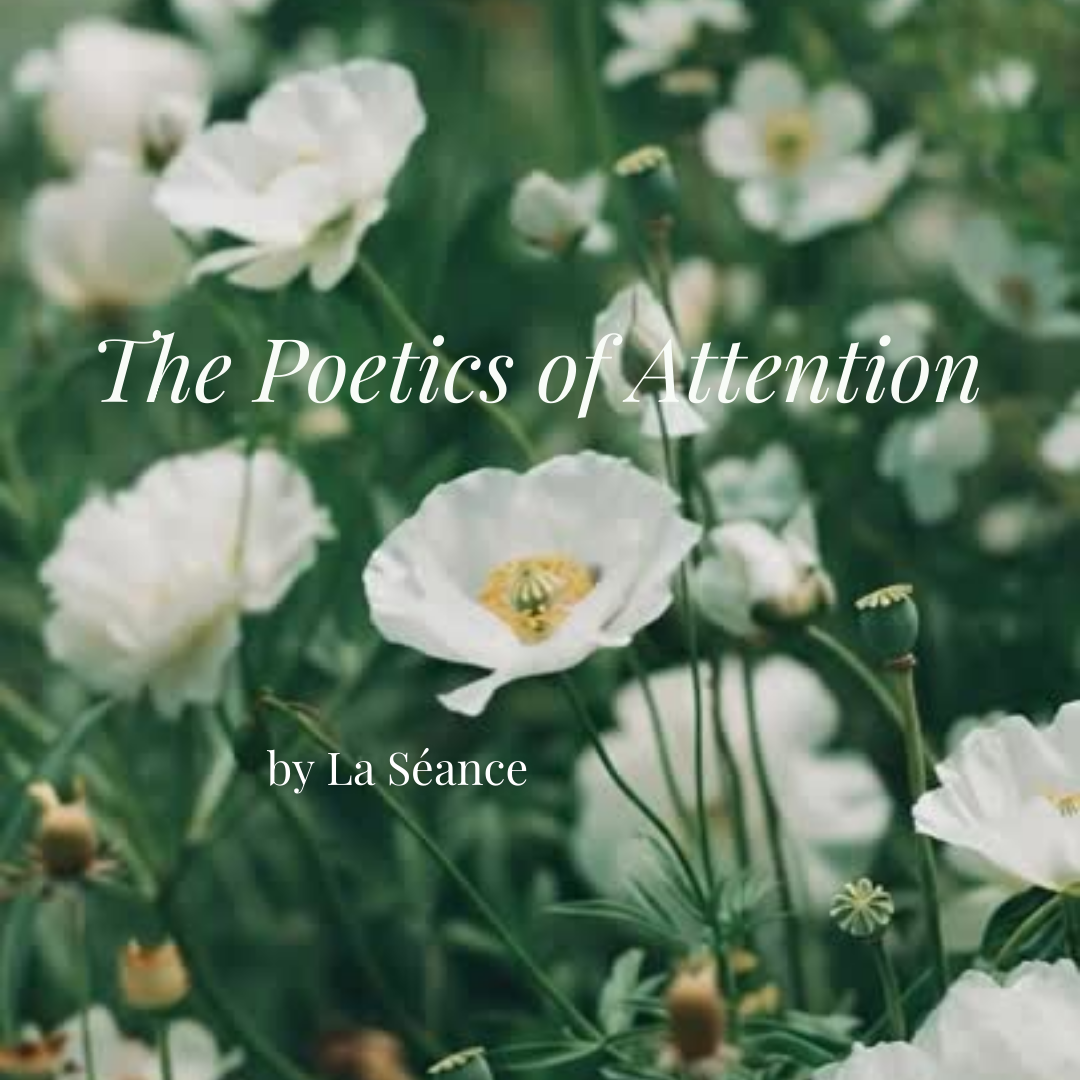 The Poetics of Attention: on Romanticizing your Life