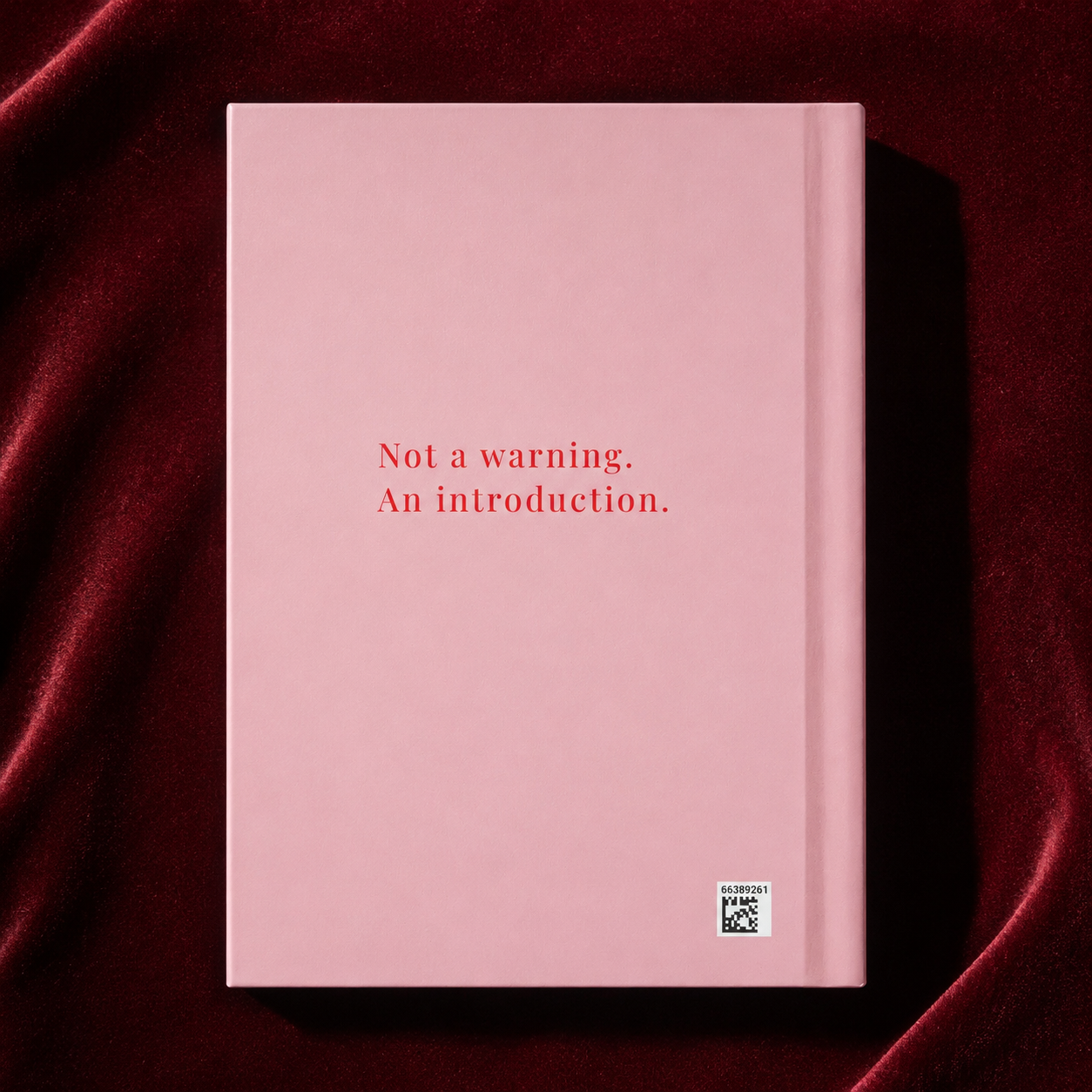 RBF — Resting Boundary Face Lined Notebook