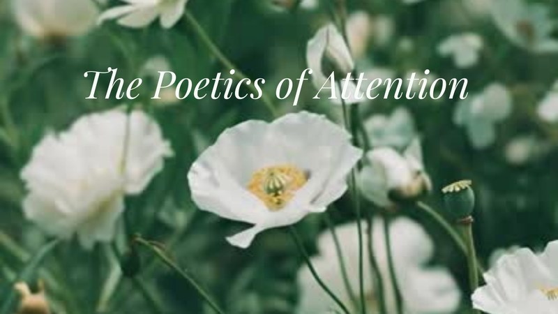 The Poetics of Attention