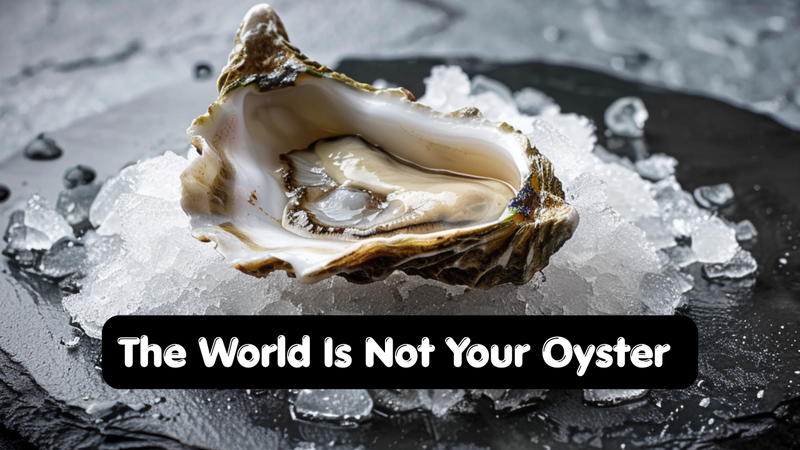 The World Is Not Your Oyster